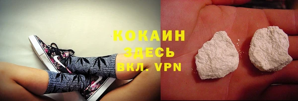 твердый Арсеньев