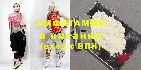 твердый Арсеньев