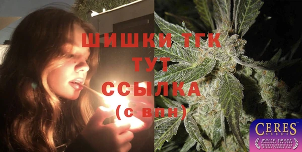 твердый Арсеньев